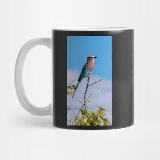 Lilac-breasted roller bird. Mug